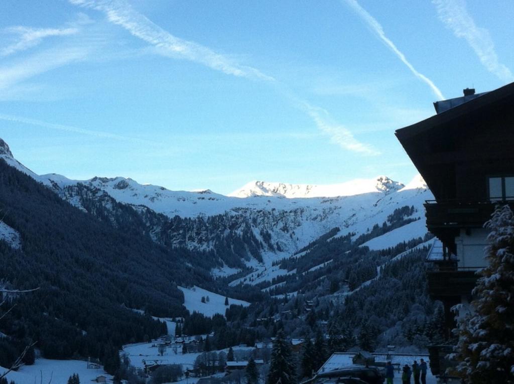 In-ski Out - Gaestehaeuser - Wallegghof Christianhof Saalbach-Hinterglemm