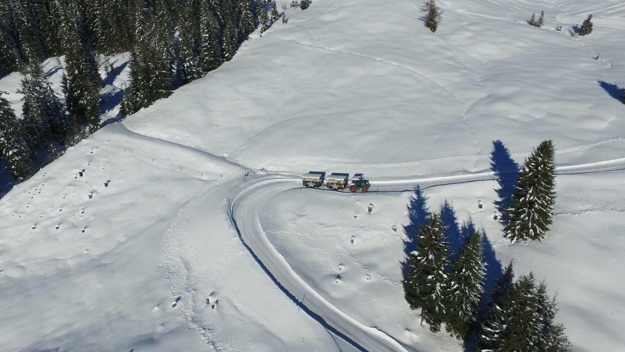 In-ski Out - Gaestehaeuser - Wallegghof Christianhof Saalbach-Hinterglemm