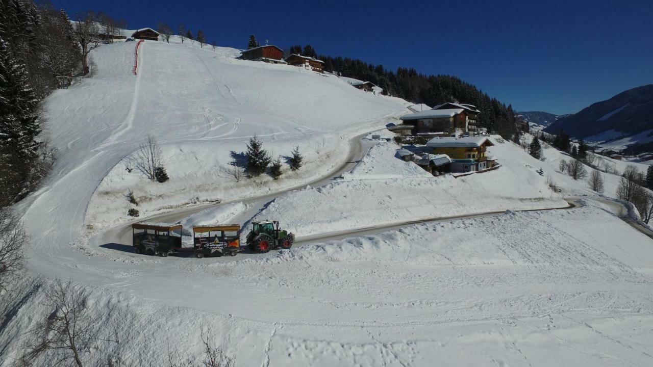 In-ski Out - Gaestehaeuser - Wallegghof Christianhof * Saalbach-Hinterglemm