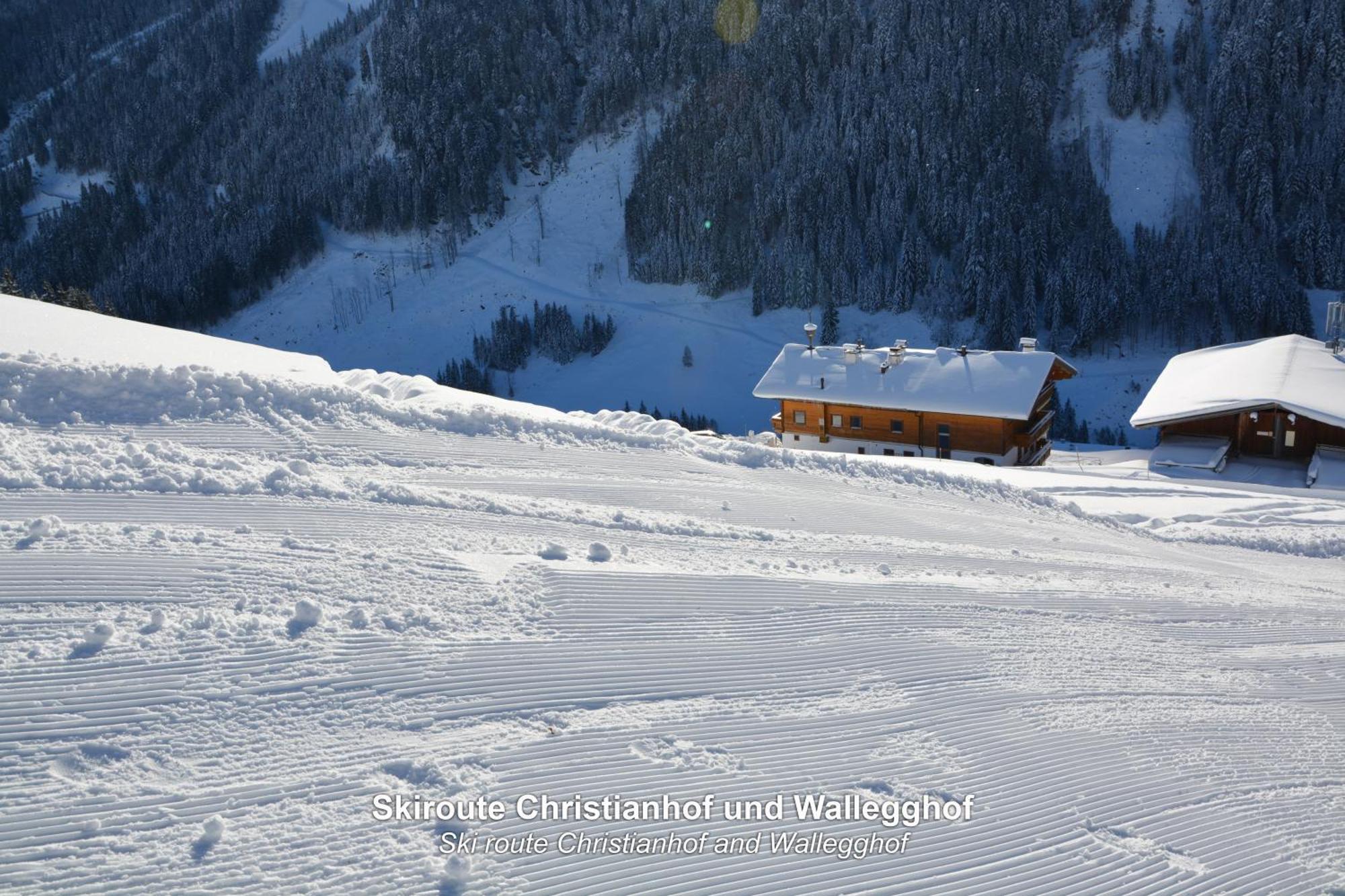 In-ski Out - Gaestehaeuser - Wallegghof Christianhof